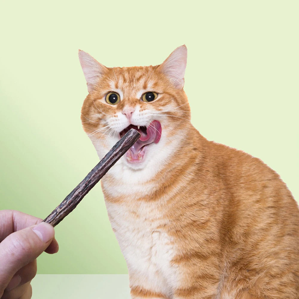10Pcs/15Pcs/20Pcs Cat-Snack Polygonum Natural Polygonum Stick Molar Stick Thin Rod Polygonum Pet Supple