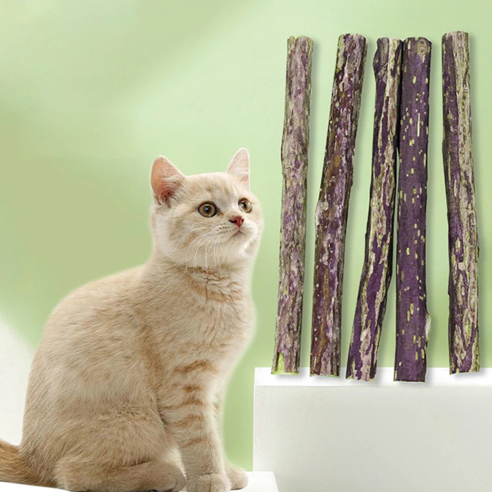 10Pcs/15Pcs/20Pcs Cat-Snack Polygonum Natural Polygonum Stick Molar Stick Thin Rod Polygonum Pet Supple