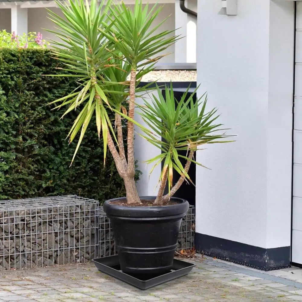 Plant Saucer Square Durable Flower Pot Indoor Outdoor Heavy Duty Tray Square Flowerpot Water Dish Home Decor for Gardening