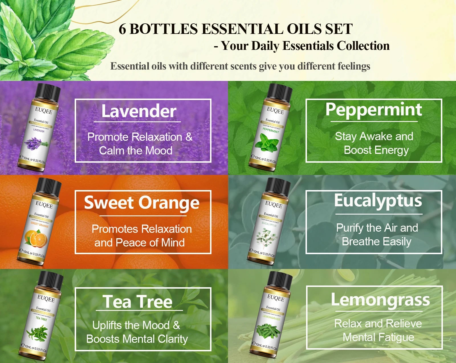 EUQEE 6 Bottles Essential Oils Set For Diffuser DIY Soap Candle Making-Peppermint Lavender Sweet Orange Lemongrass Eucalyptus