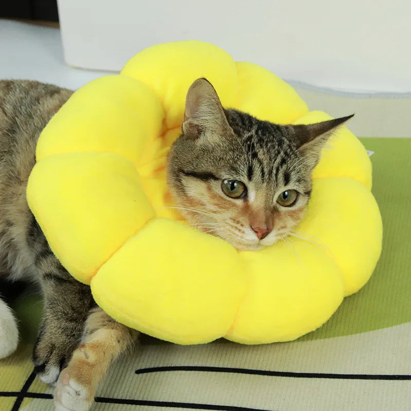 Sunflower Pet Elizabethan Collar Adjustable Anti-Bite Surgery Anti-Lick Wound