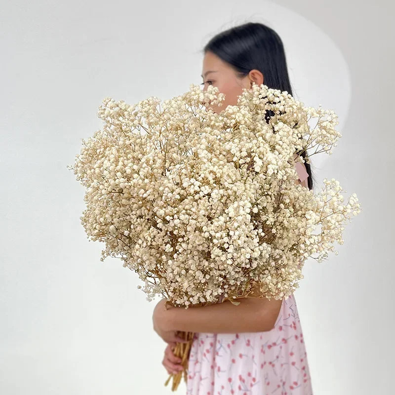100g Dried Flowers Baby Breath Preserved Flowers Gypsophila Bouquet Boho Home Decor Colorful Gypsophile Wedding Party Decoration