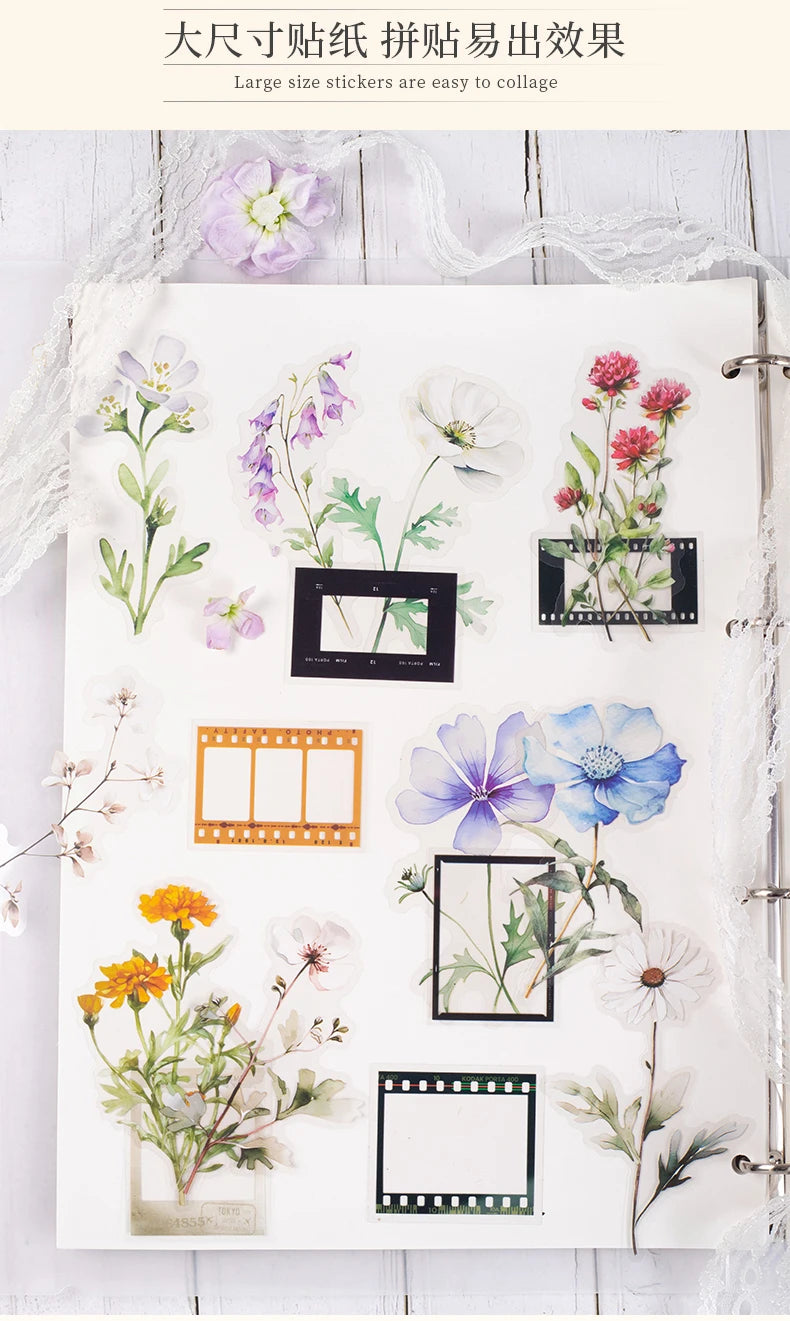 30 pcs film and Flowers Plant Stickers pack Creativity PET Decorative Sticker for DIY Diary Scrapbooking Junk Journal Supplies