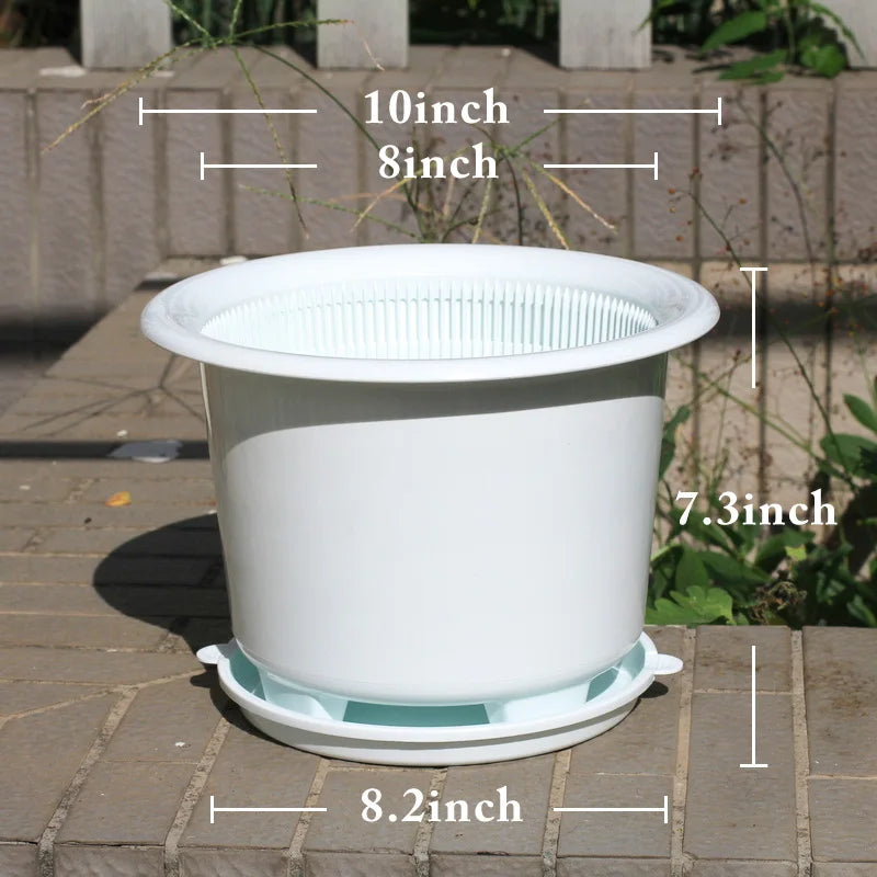 Meshpot 20cm Plastic Orchid Pot Flower Pot Garden Pot Planter Holder Home Decor,Enhance Root Quantity and Activity Good air