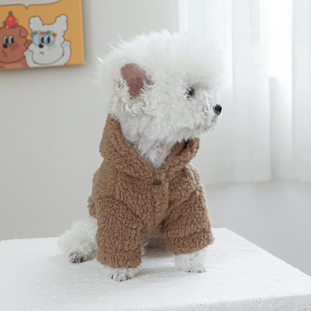 Autumn and Winter Pet Lamb Fleece Hooded Jacket Puppy and Cat Clothes New Models Thick and Warm Letter Hoodie Pet Clothes