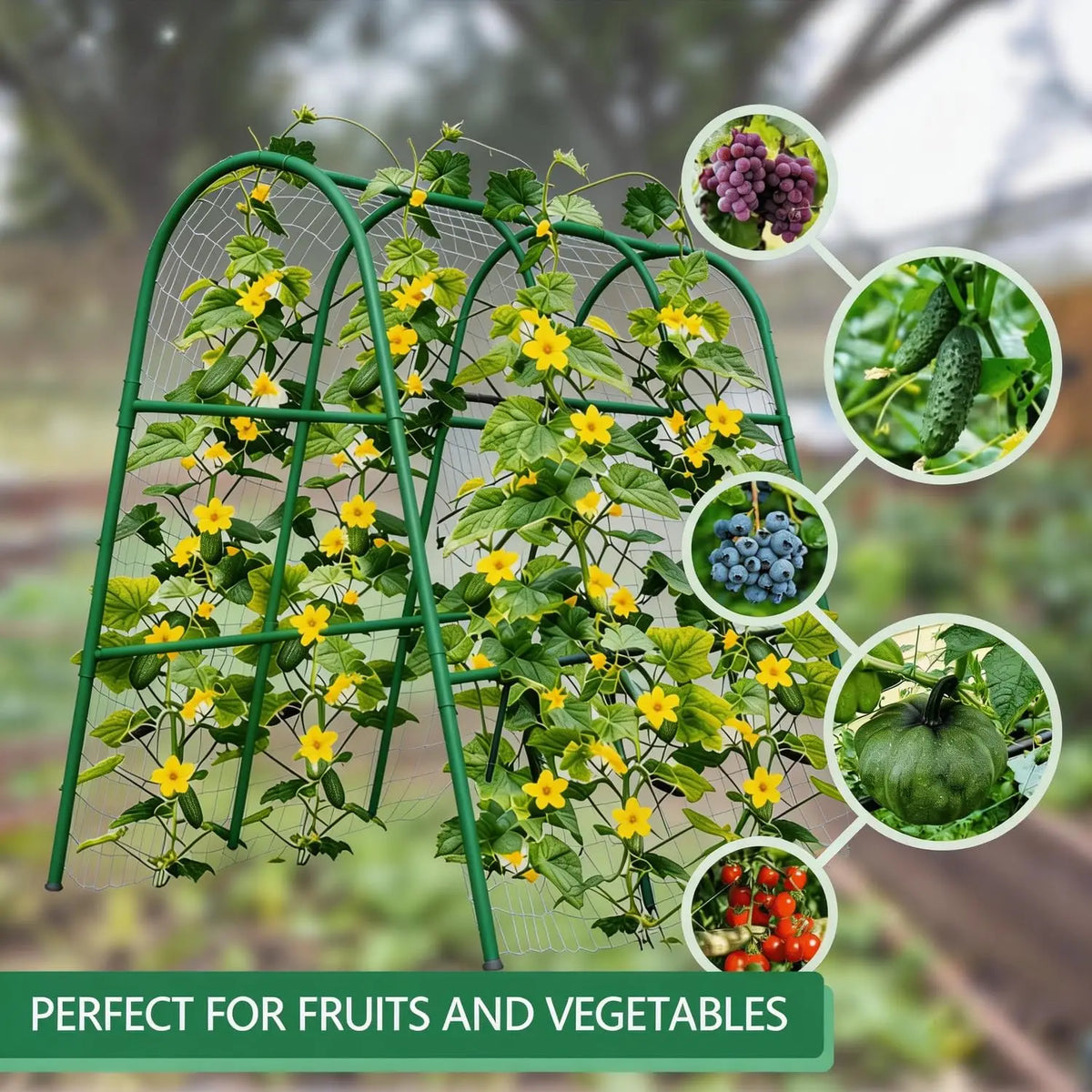 Heavy-Duty Metal Garden Arch Trellis – Rust-Resistant Plant Support