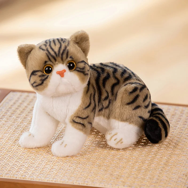 Super Likfelike Fat Face Cat Plushie Stuffed Apple Face Tiger Patterned Kitten Simulated Animals Home Decor Gift for Boy Kids