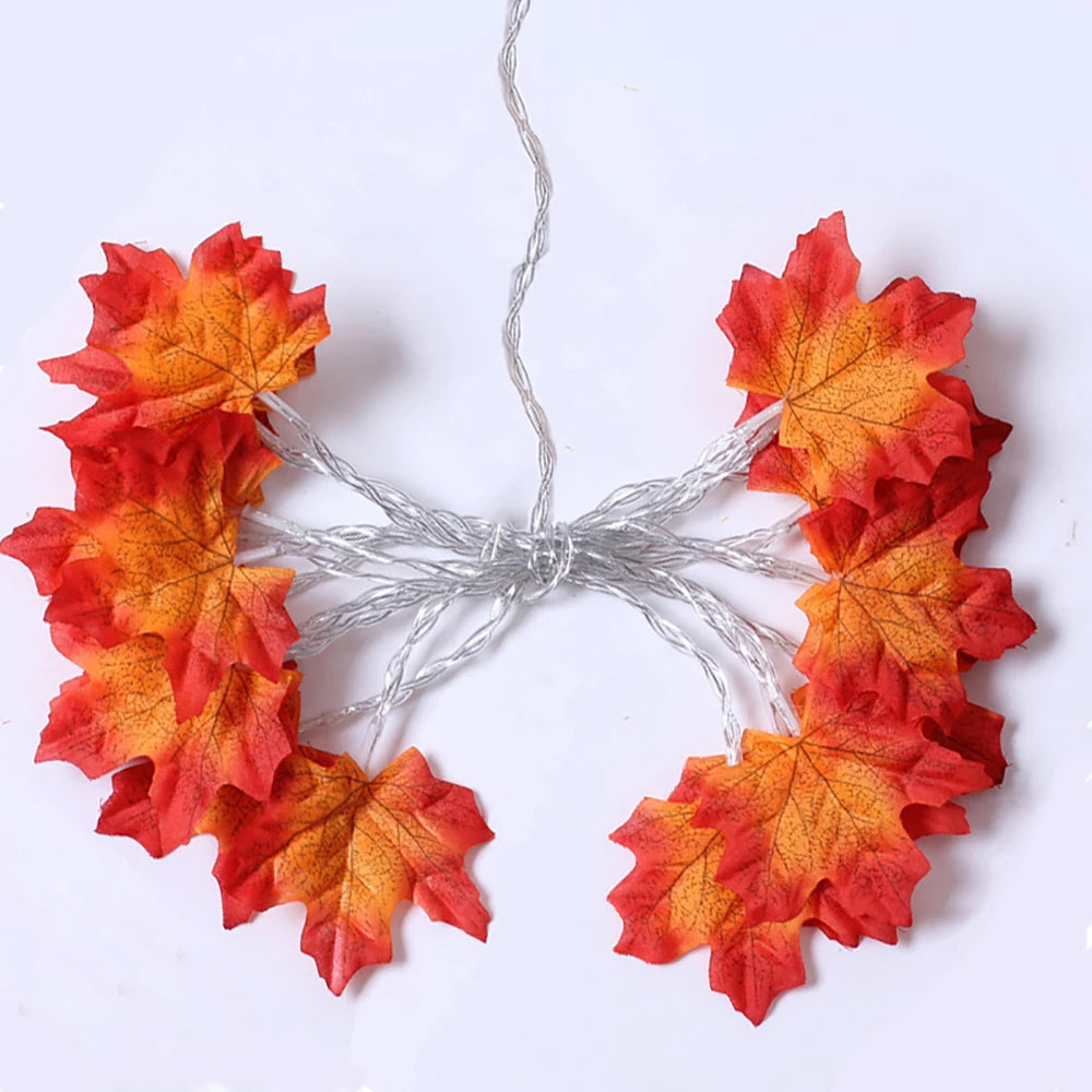 2/3/6M Halloween LED Lights String