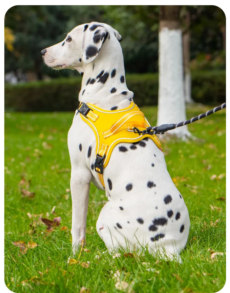 Dog Harness Pet Saddle Quick Wear Structure Protection Ultra Light Chest Strap Safety Anti Break Explosion Proof Dog Vest