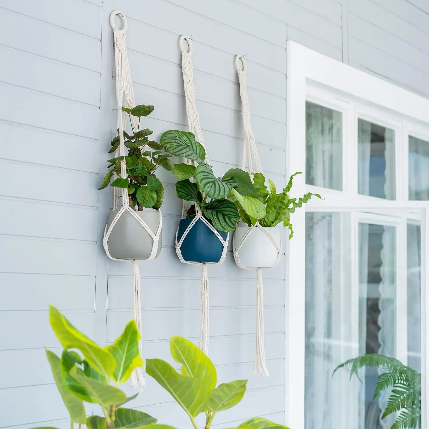 3pcs Boho Macrame Plant Hangers, Indoor & Outdoor Wall Hanging Planter Basket Holders, Flower Pot Rope for Home Decor