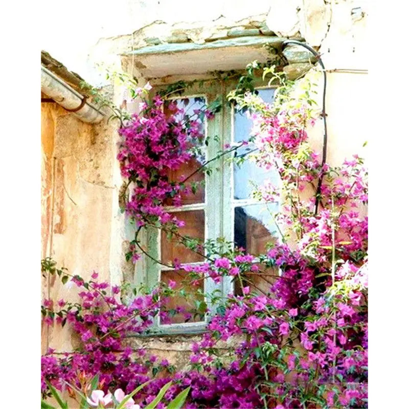GATYZTORY Frame Painting By Numbers For Adults Coloring On Numbers Window Flower Gift Picture Drawing Paint Kit Diy Crafts