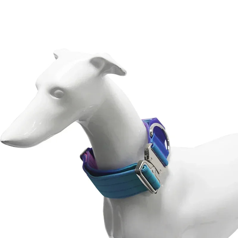 New 5mm Wide Pet Collar Gradual Change Color Traction Set Adjustable Nylon Dog Collar Supplies Medium and Large Dog Accessories