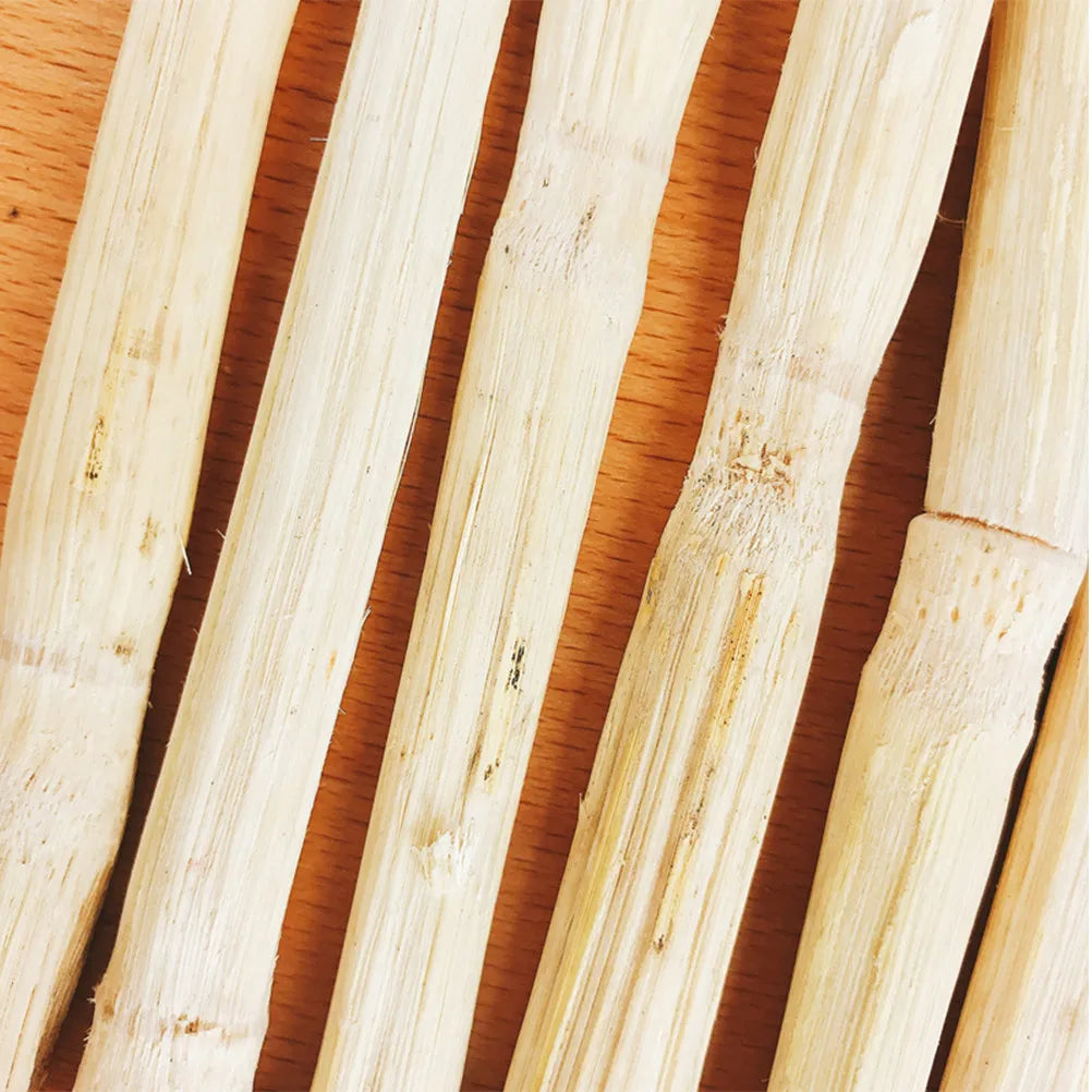 500G Bamboo Cane Based Chew Stick for Pet Teeth Flavor Small Animal Grinding Snack for Bunny Rodent Enrichment