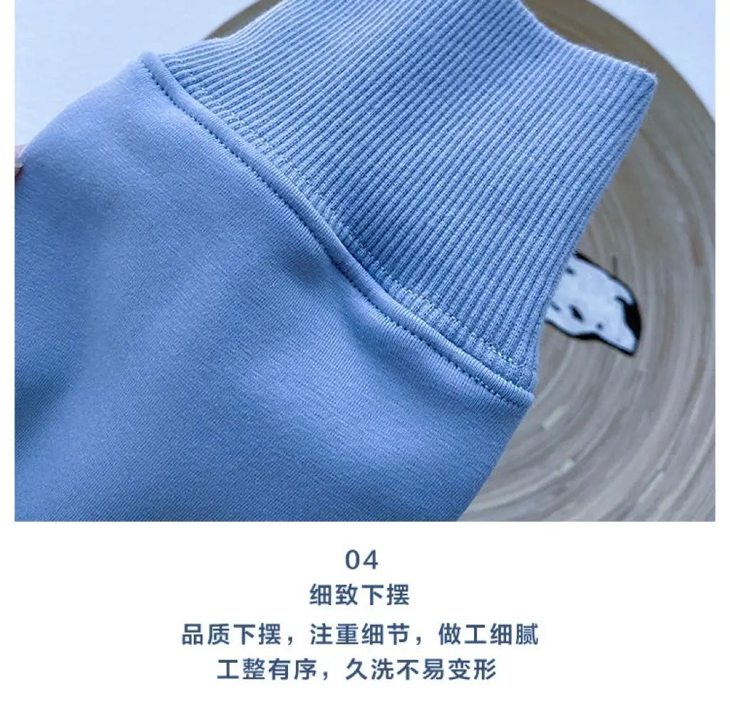 600G Pure Cotton Plush Thickened Sweatshirt Thin Plush Heavyweight Solid Round Neck Sweater Autumn Winter Warm Sweater