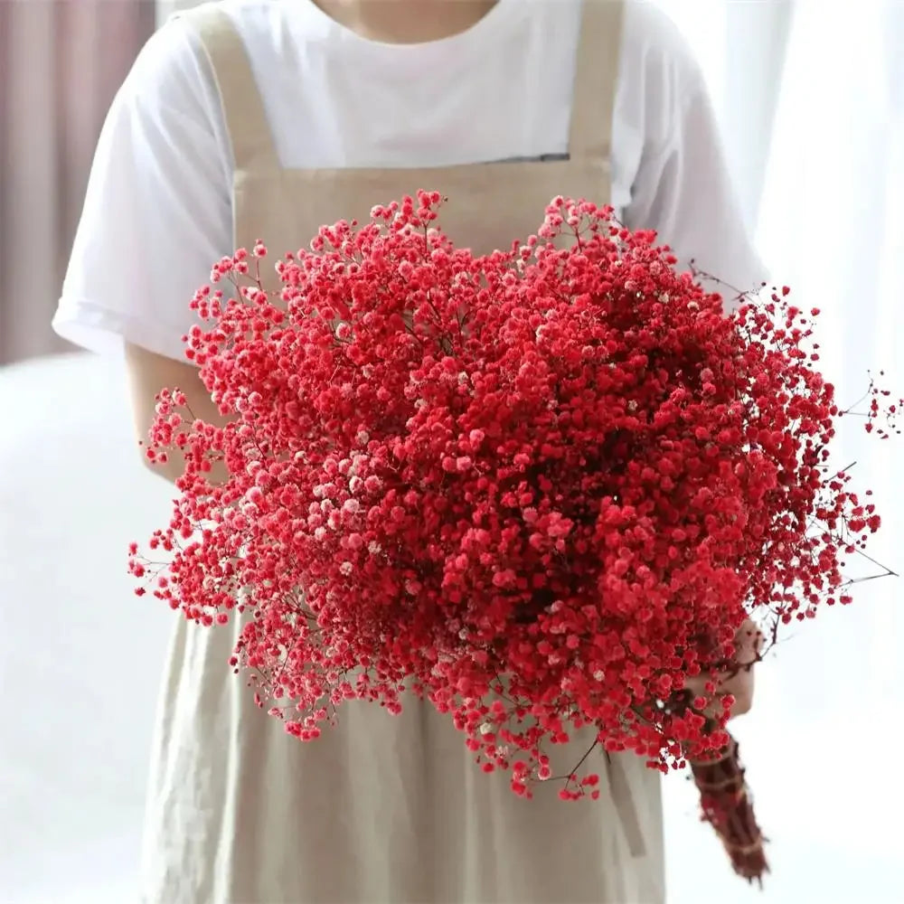 100g Dried Flowers Baby Breath Preserved Flowers Gypsophila Bouquet Boho Home Decor Colorful Gypsophile Wedding Party Decoration