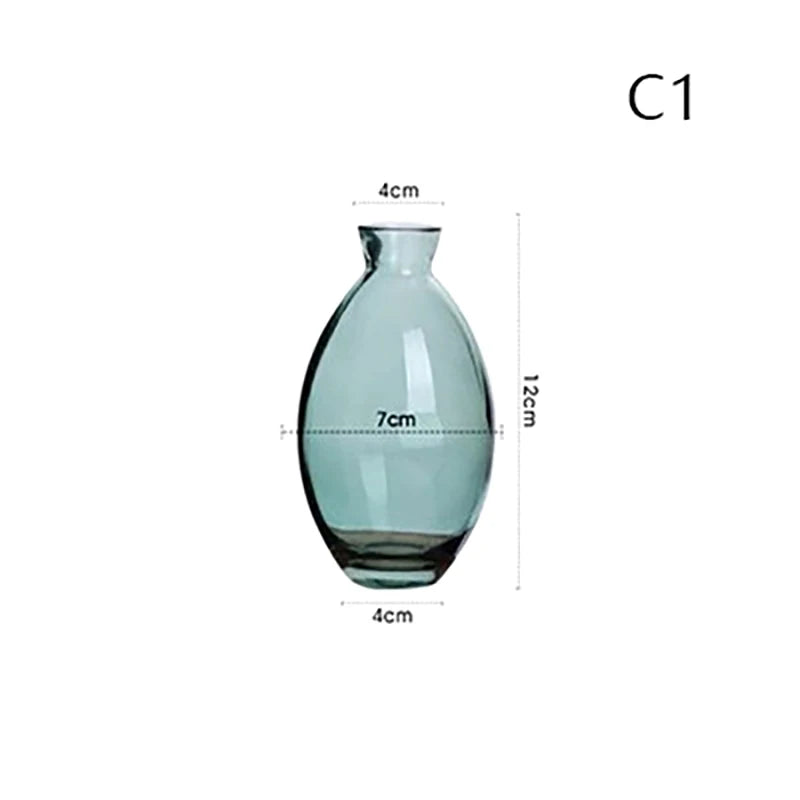 Transparent Glass Vase Avocado Seed Starters Vase Seed Growing Kit Avocado Vase For Growing Gift For Gardening Lovers Home Decor