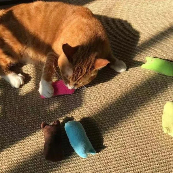Catnip Cat Pillow Toy - Funny Pet Chew Claw Molar Toy for Kittens - Soft Cute Interactive Plaything