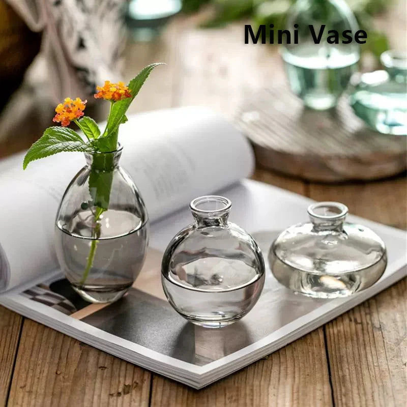 Transparent Glass Vase Avocado Seed Starters Vase Seed Growing Kit Avocado Vase For Growing Gift For Gardening Lovers Home Decor