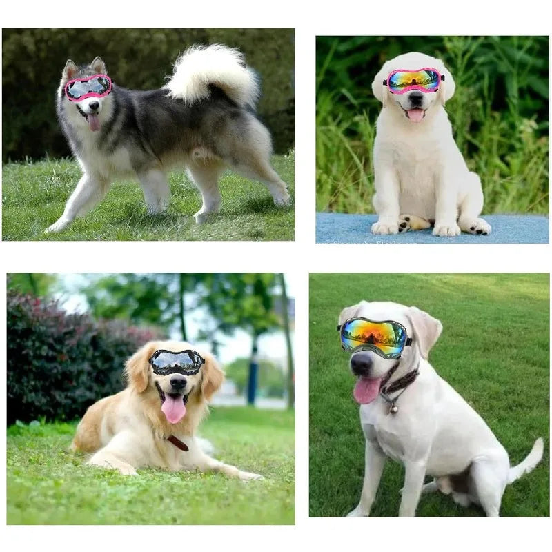 LETVIA New Pet Glasses Big Dog UV-resistant Windproof Sunglasses Outdoor Pet Motorcycle Goggles Stylish Tactical Dogs Sunglasses