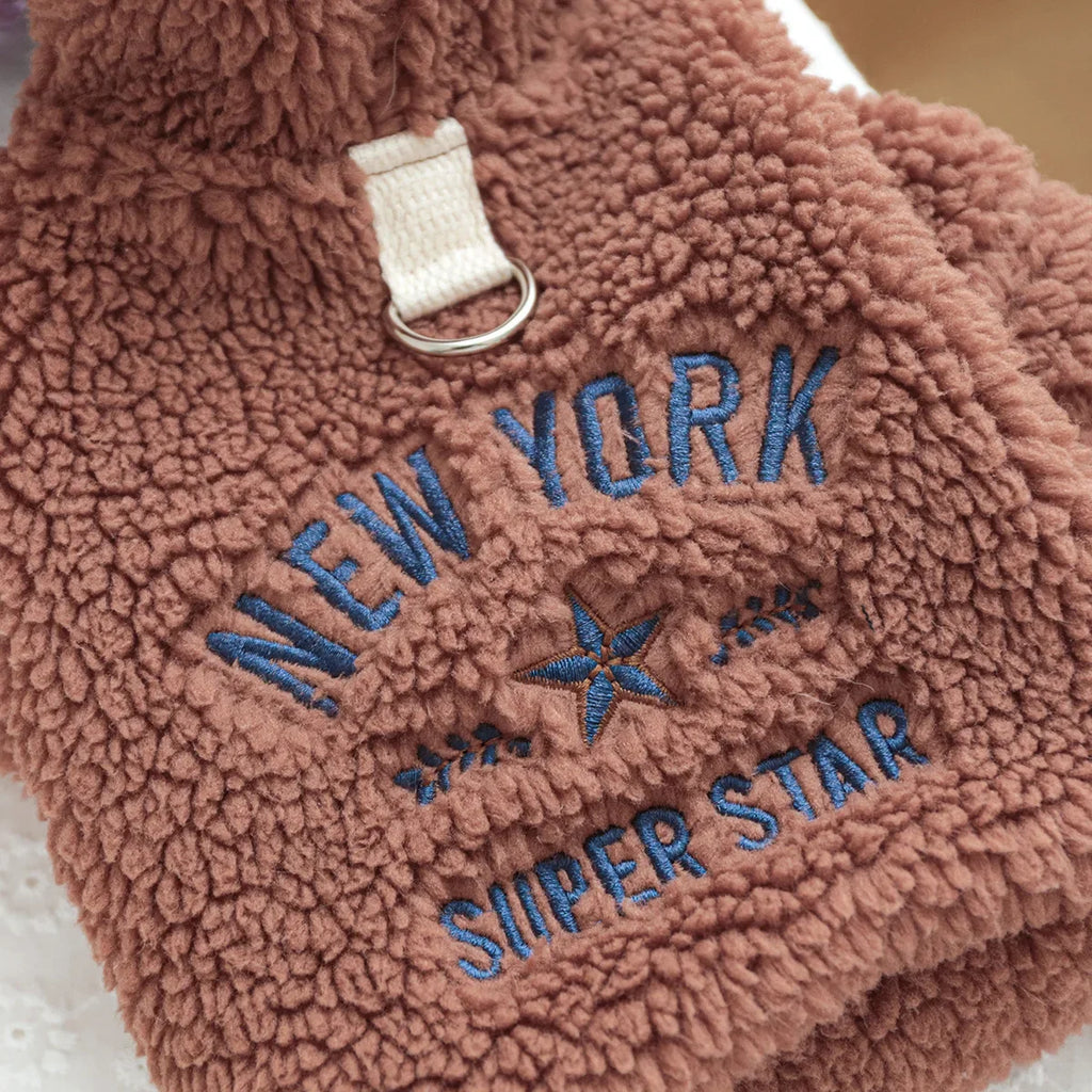 Autumn and Winter Pet Lamb Fleece Hooded Jacket Puppy and Cat Clothes New Models Thick and Warm Letter Hoodie Pet Clothes