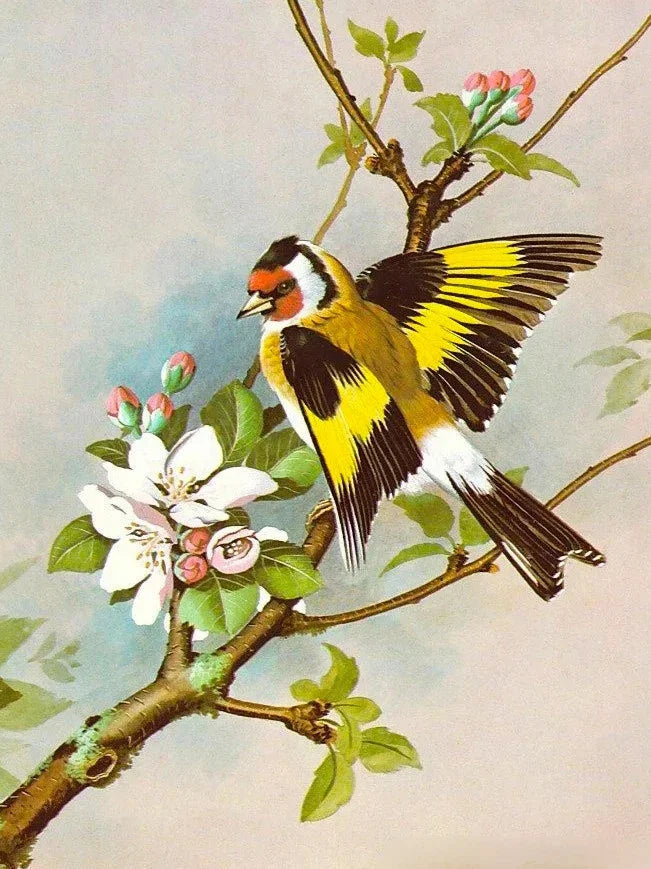 Huacan Diy Diamond Painting Animal Full Drill Embroidery Bird Home Decor Gift Rhinestone Pictures Craft Kit