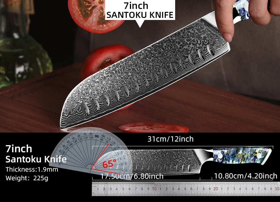 Damascus Knife Chef Knife Japanes VG10 67 Layer Steel Cleaver Paring Bread Knife Lasting Sharp Abalone Shell Handle Kitchen Gift