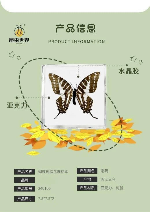 5Pcs Real Chinese Butterfly Specimen, For Girls, Children's Day, Teachers' Day Exquisite Gifts, home decor