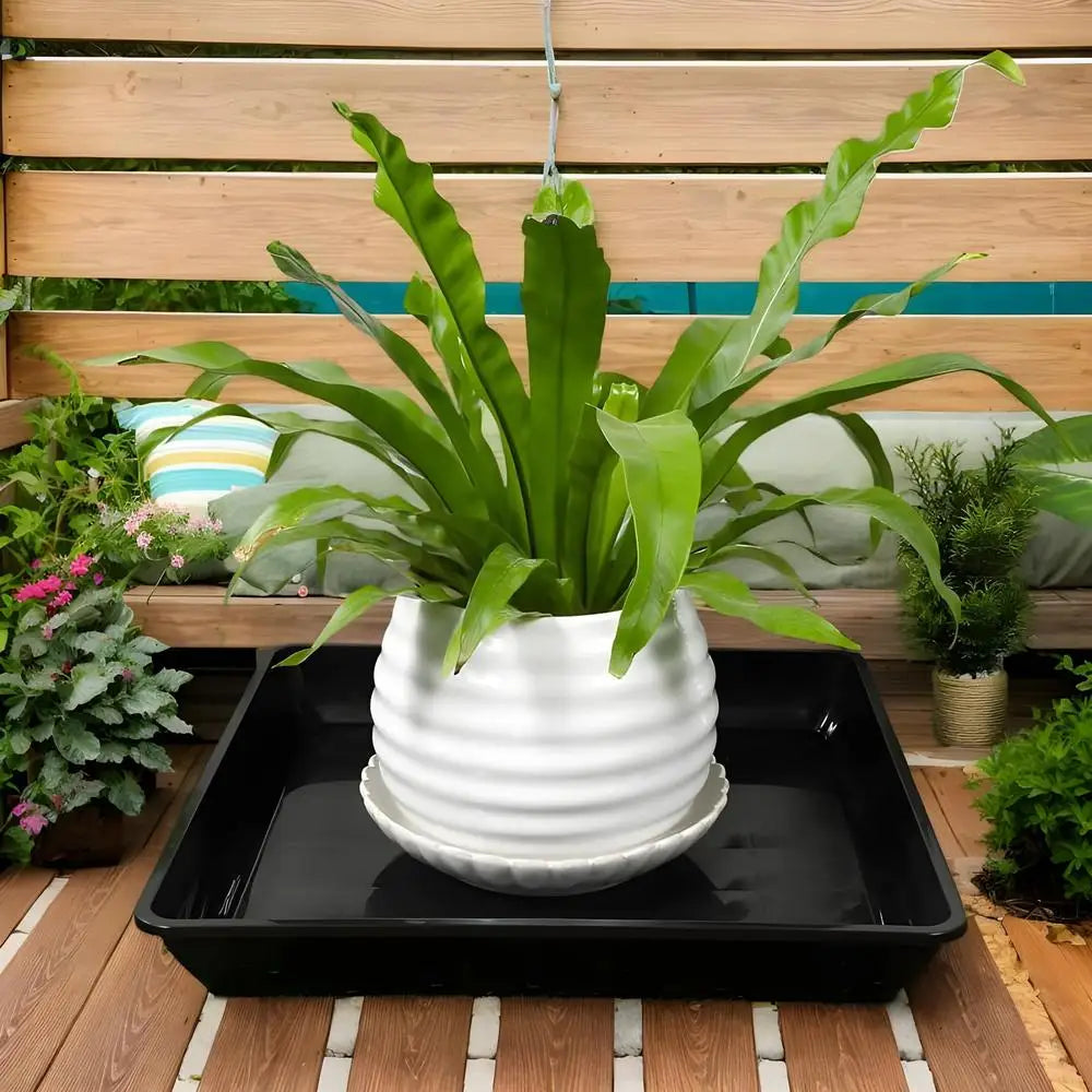 Plant Saucer Square Durable Flower Pot Indoor Outdoor Heavy Duty Tray Square Flowerpot Water Dish Home Decor for Gardening