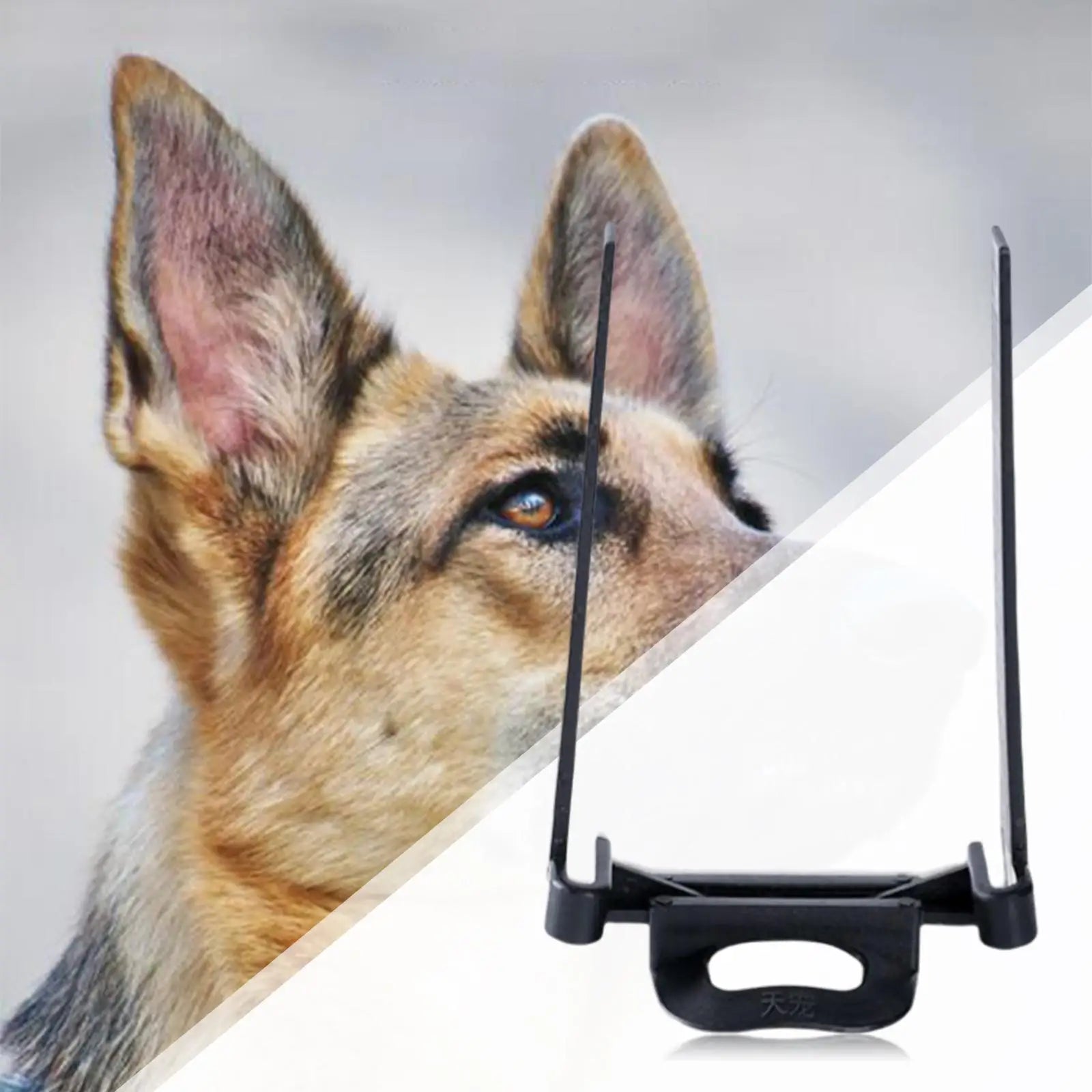 Dog Special Ear Support Pet Dogs Erect Ear Tools Kit with Brush and Glue for Medium Large Dogs