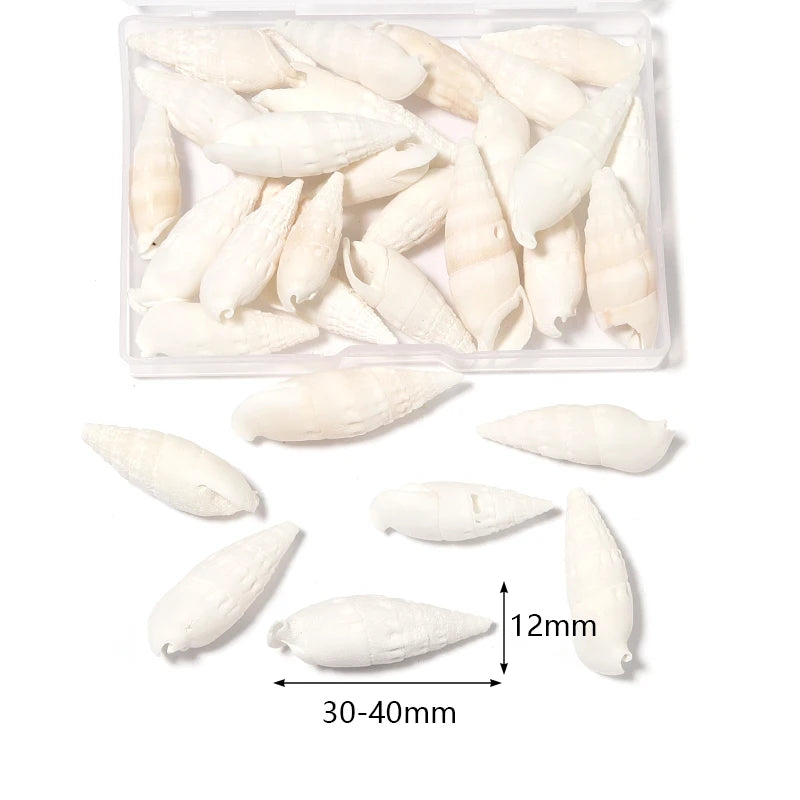 1 Box Sea Shell Spiral Shell Tiny Ocean Spiral Seashell Conch Crafts Aquarium Decoration Landscaping Accessory Photography Props