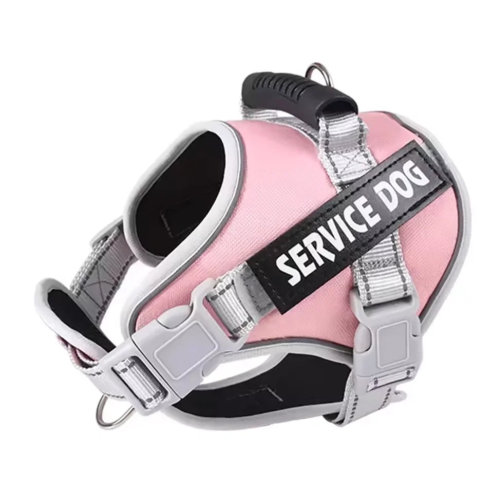 No-Pull Adjustable Dog Harness With Leash