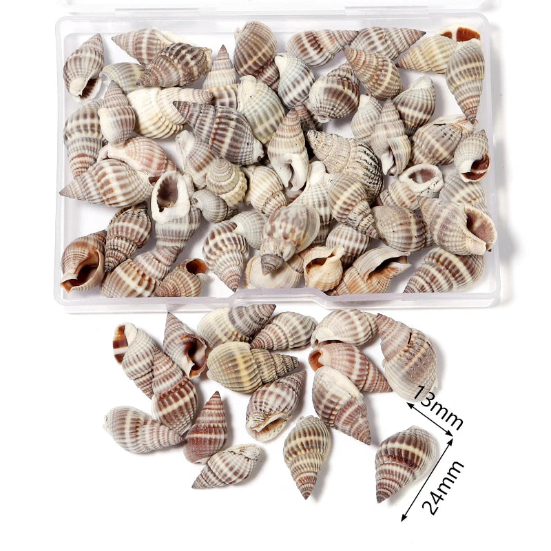 1 Box Sea Shell Spiral Shell Tiny Ocean Spiral Seashell Conch Crafts Aquarium Decoration Landscaping Accessory Photography Props