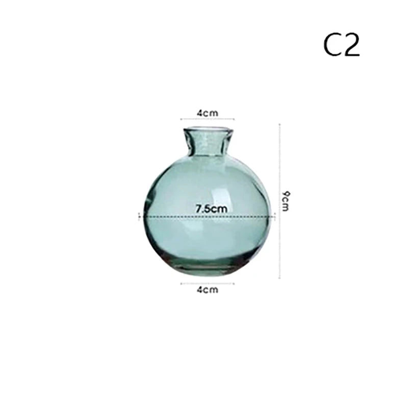 Transparent Glass Vase Avocado Seed Starters Vase Seed Growing Kit Avocado Vase For Growing Gift For Gardening Lovers Home Decor
