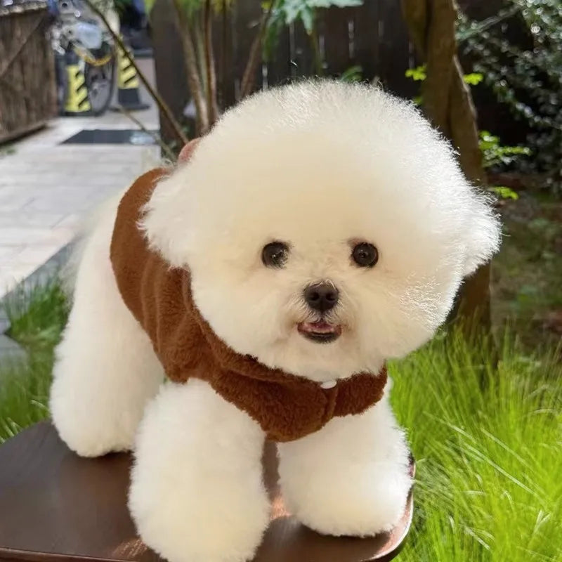 Thick Warm Winter Dog Coat Fleece Dog Jacket Pet Hooded Sweatshirt Chihuahua Bichon Dachshund Dog Clothes Kitten Puppy Overalls
