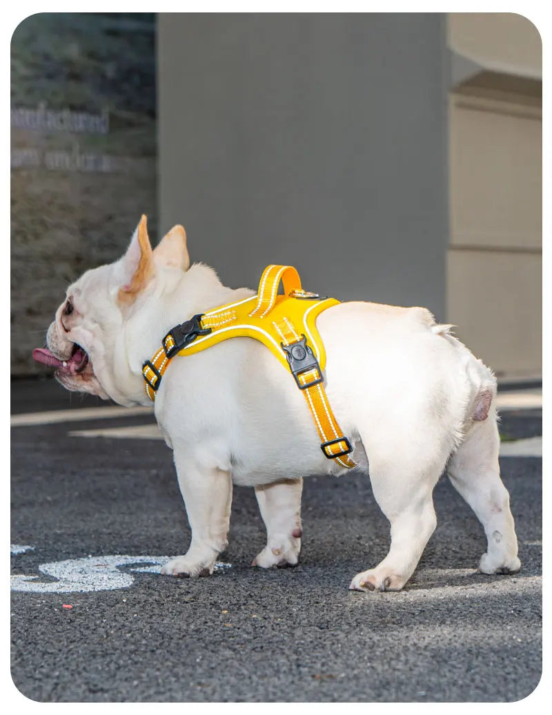 Dog Harness Pet Saddle Quick Wear Structure Protection Ultra Light Chest Strap Safety Anti Break Explosion Proof Dog Vest