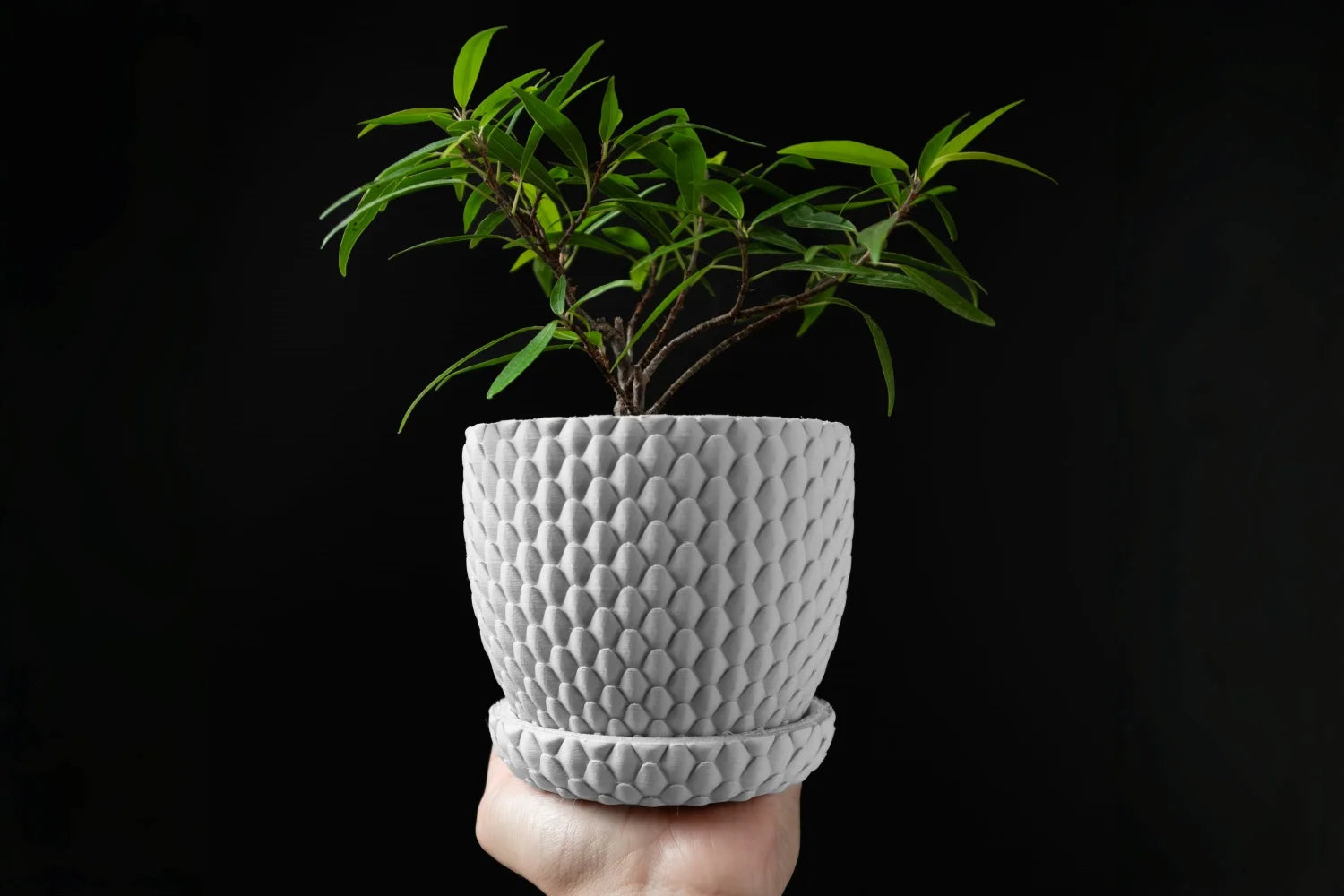 3D Printed Flower Pot Square Line Texture Rhombus Detail Modern Home Decor Biodegradable macetas