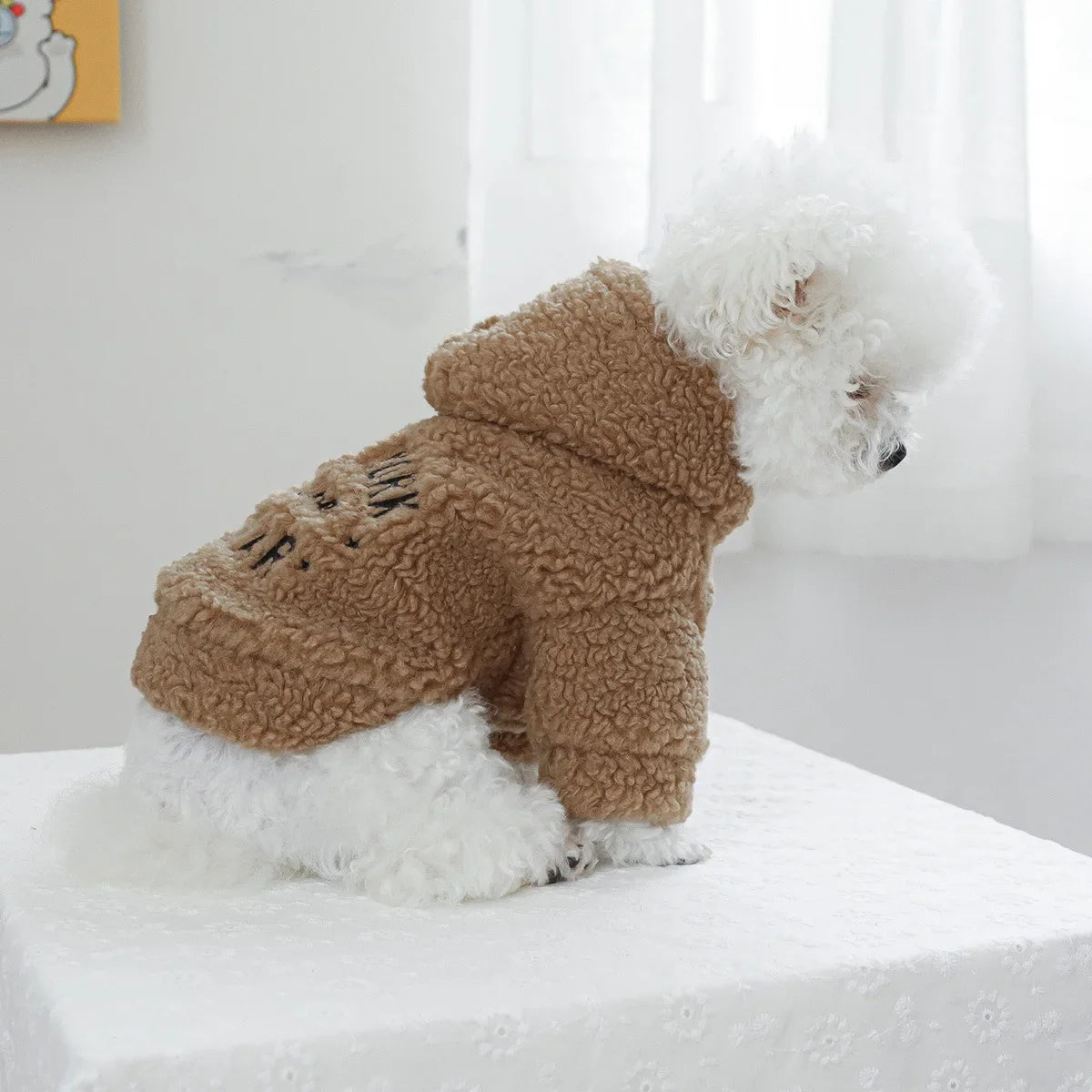 Autumn and Winter Pet Lamb Fleece Hooded Jacket Puppy and Cat Clothes New Models Thick and Warm Letter Hoodie Pet Clothes