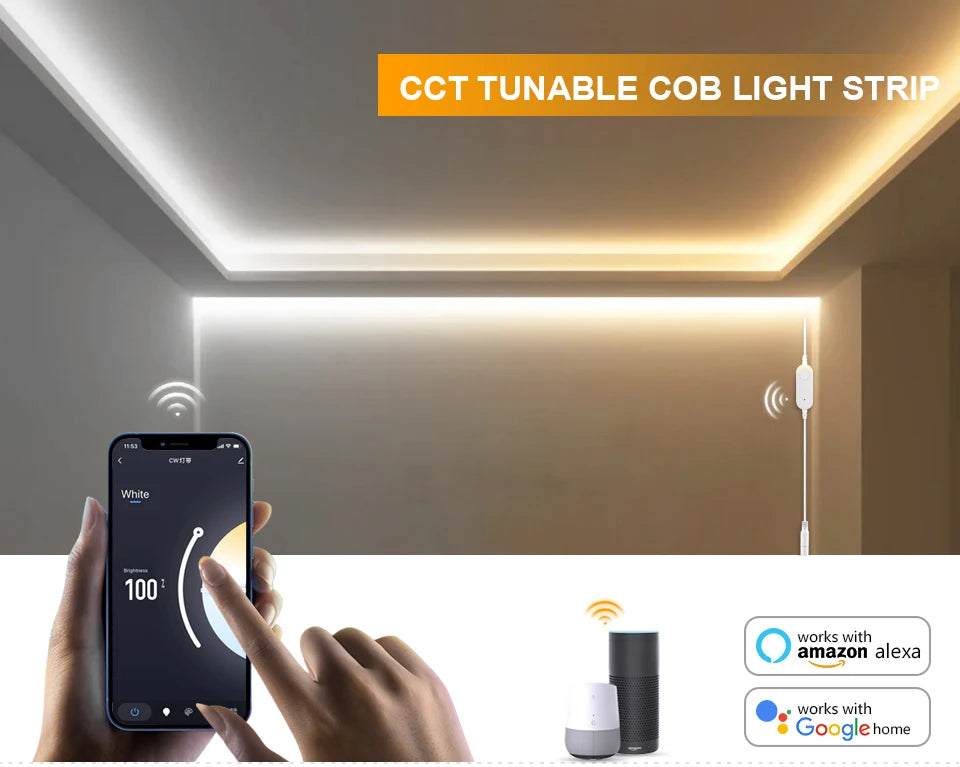 Tuya Smart WiFi Switch COB CCT LED Strip Light 3M 5M 24V Power Adapter EU/US Plug Dimmable Lamp LED Tape for Room Kitchen Decor