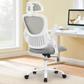 Mesh Ergonomic Office Chair With Lumbar Support