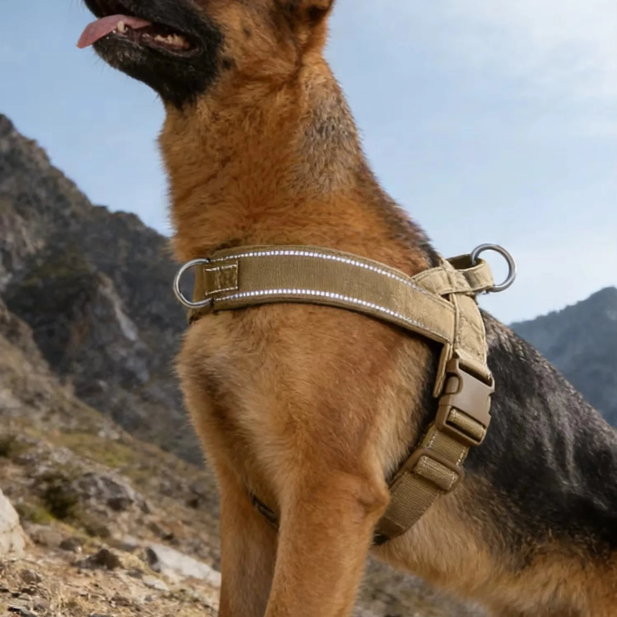 Big Dog Harness Accessories Dogs Pets Pet Products Tactical