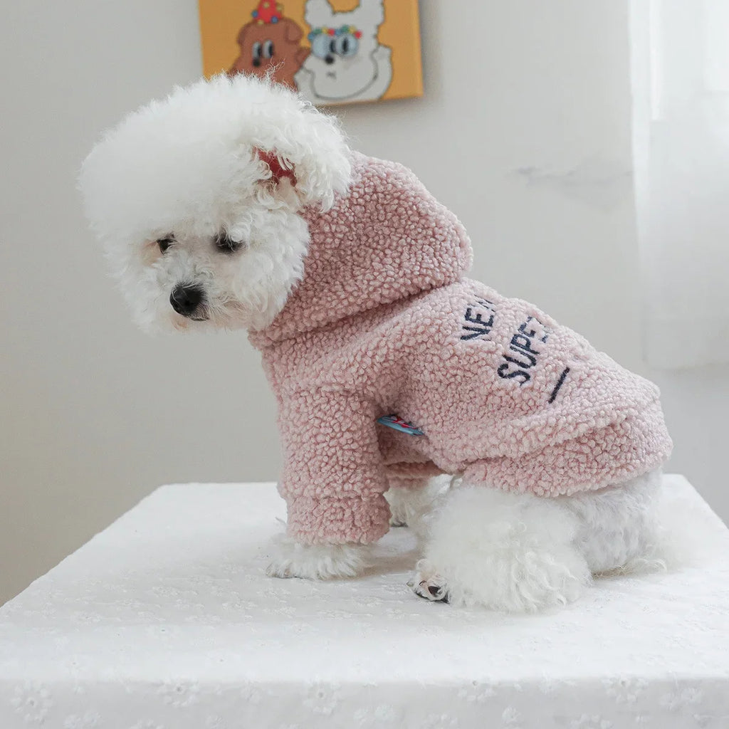 Autumn and Winter Pet Lamb Fleece Hooded Jacket Puppy and Cat Clothes New Models Thick and Warm Letter Hoodie Pet Clothes