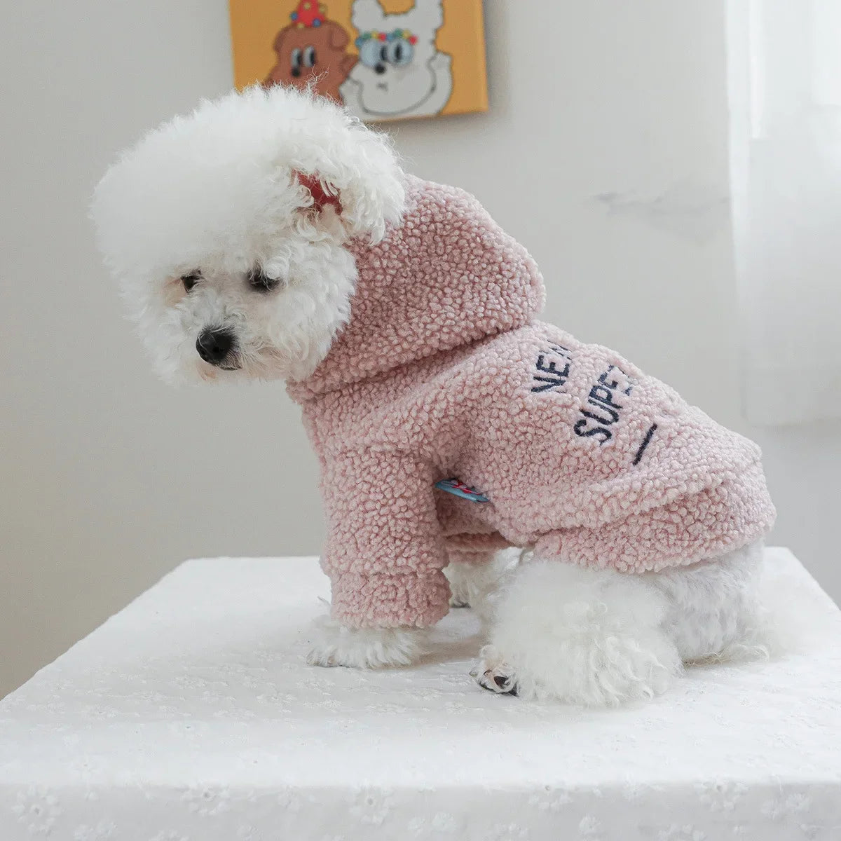 Autumn and Winter Pet Lamb Fleece Hooded Jacket Puppy and Cat Clothes New Models Thick and Warm Letter Hoodie Pet Clothes