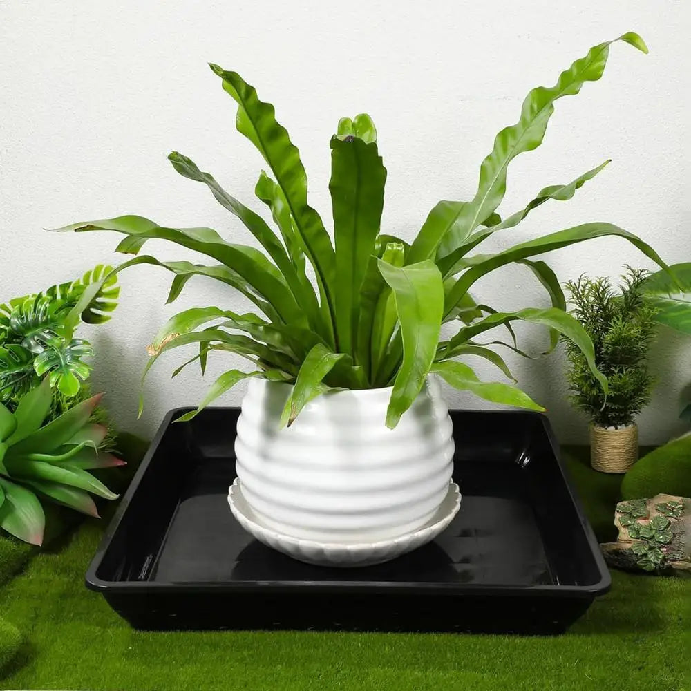 Plant Saucer Square Durable Flower Pot Indoor Outdoor Heavy Duty Tray Square Flowerpot Water Dish Home Decor for Gardening