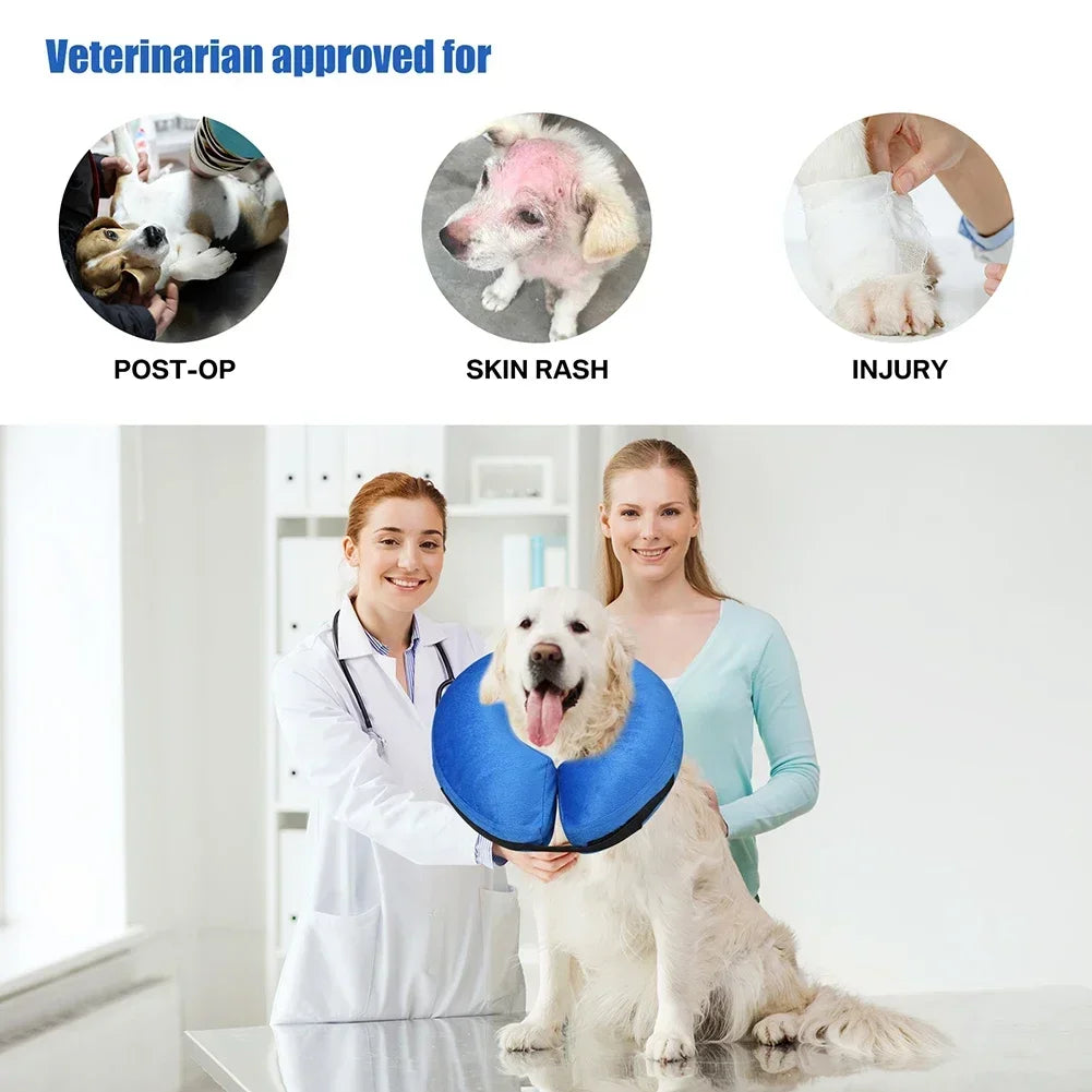 Dog Cones After Surgery
