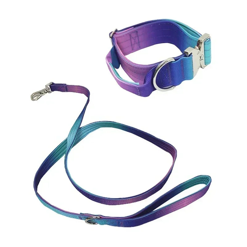 New 5mm Wide Pet Collar Gradual Change Color Traction Set Adjustable Nylon Dog Collar Supplies Medium and Large Dog Accessories