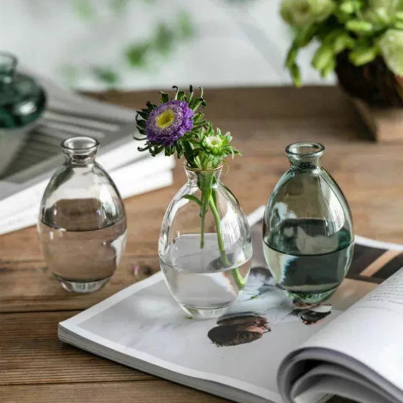 Transparent Glass Vase Avocado Seed Starters Vase Seed Growing Kit Avocado Vase For Growing Gift For Gardening Lovers Home Decor