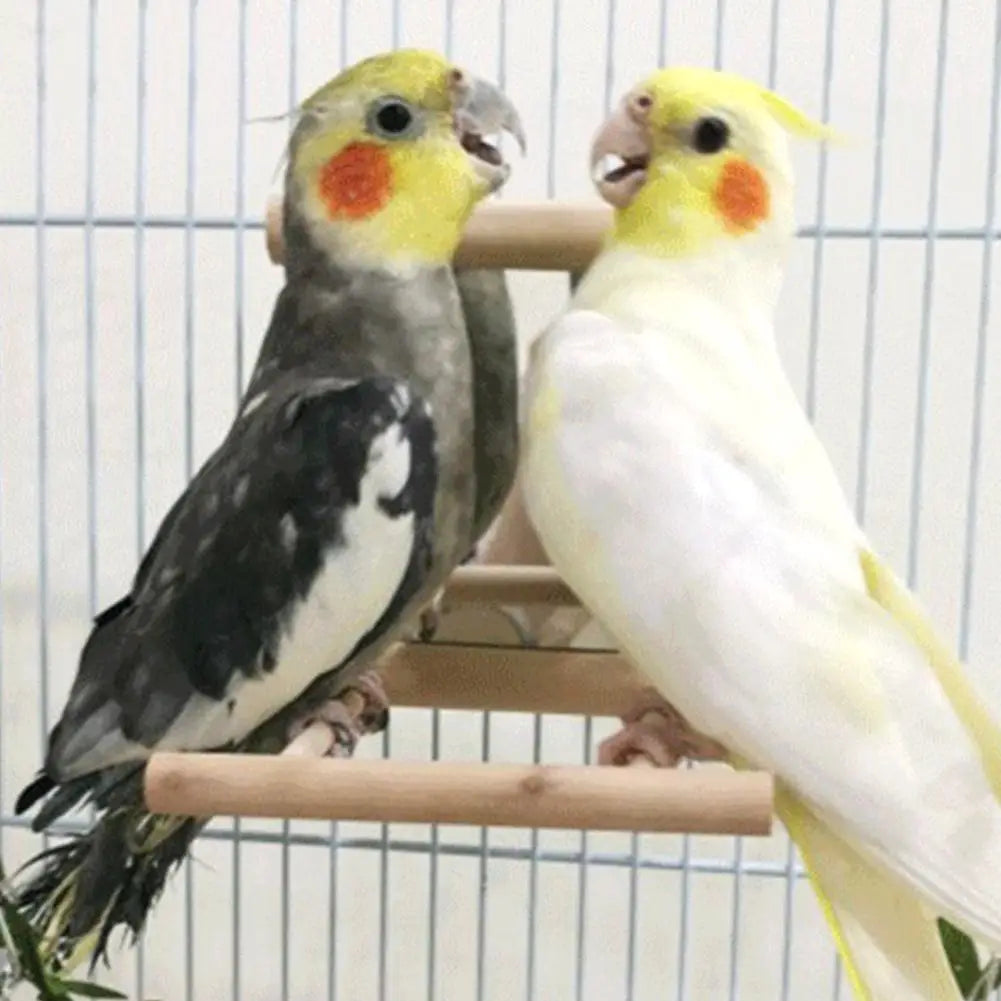 Bird Wooden Mirror Hanging Swing Interactive Play Toys for Parrot Budgies Parakeet Cockatiel Conure Lovebird Cage Accessories