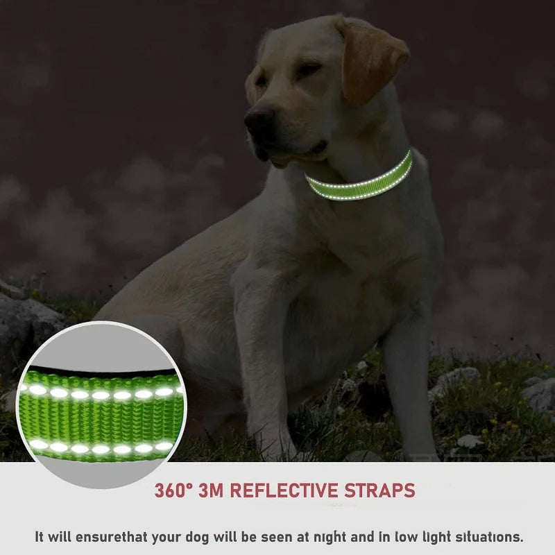 Choker Small Dog Collar Puppy Neck Collars for Dogs