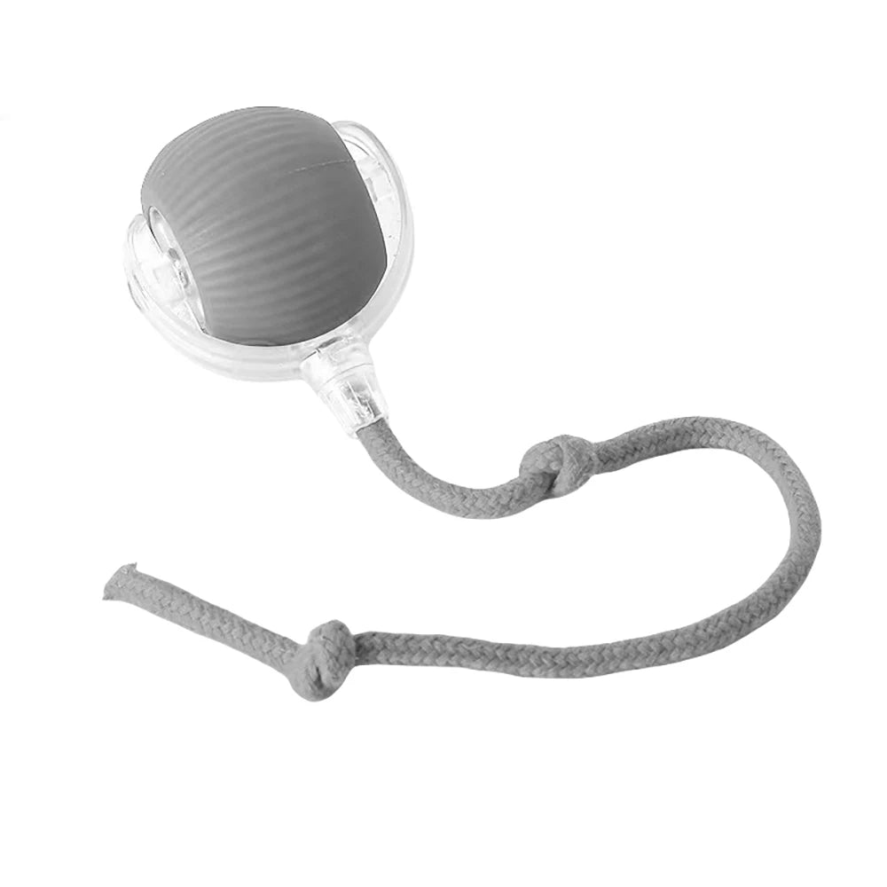 Interactive Dog Cat Toy Ball, Automatic Moving Bouncing Rolling, Pet Smart Chase Ball Rechargeable, Enrichment Toys