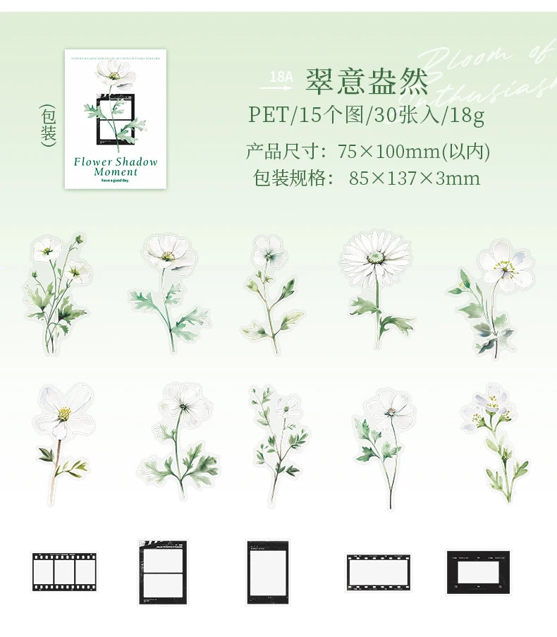 30 pcs film and Flowers Plant Stickers pack Creativity PET Decorative Sticker for DIY Diary Scrapbooking Junk Journal Supplies